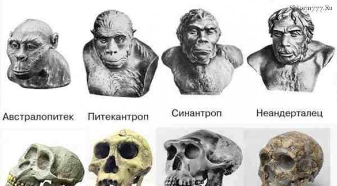 Tika nosaukti Pithecanthropus un Sinanthropus