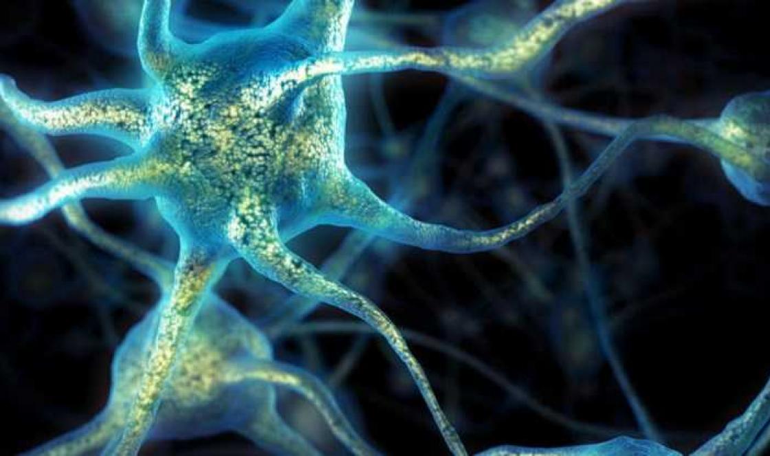 Čo je nervový systém?
